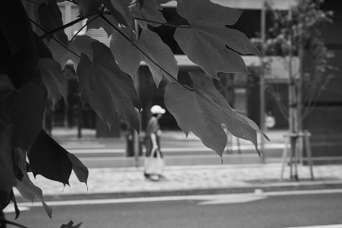 zauber2011's tweet photo. Moving quietly beneath the summer light.
#streetphotography
#monochromephotography
#urbanphotography
#lightandshadow
#japanstreetphotography https://t.co/csiSVWo1GV