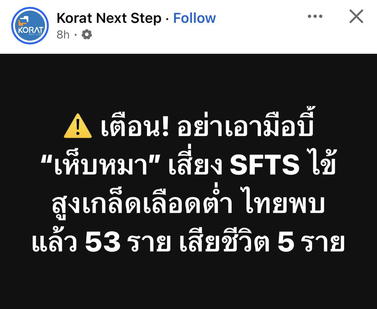 iTakkung's tweet photo. ความเชื่อที่ว่า บี้แล้วเห็บมันจะกระจายตัวเยอะกว่าเดิมคือไม่จริง ที่เค้าห้ามบี้ก็เพราะมันสกปรกเสี่ยงติดเชื���อแบบนี้แหละ https://t.co/CWJ3x3X0BR