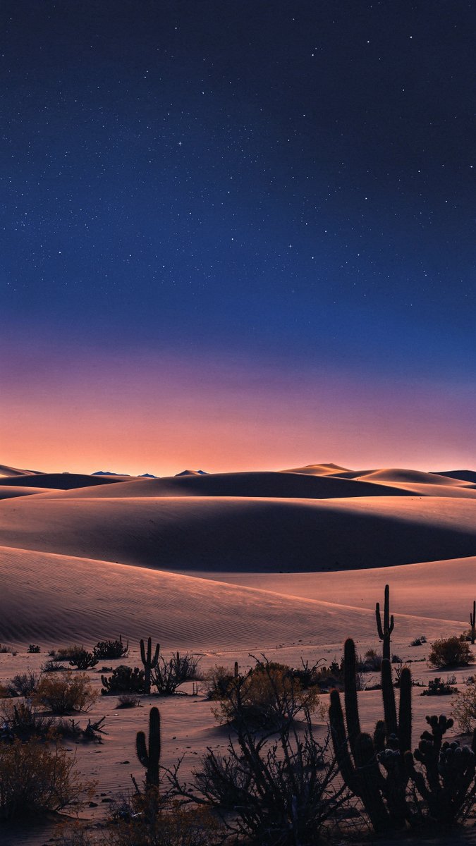 wallpaper_fm's tweet photo. Stardust sketched stories on dunes as the horizon glowed like a painter's first light.
#Wallpapers #Wallpapers4k #DesertMagic #NocturnalGlow #CelestialCanvas #TwilightTales #StarlitWonders https://t.co/u2IDVrOtTW