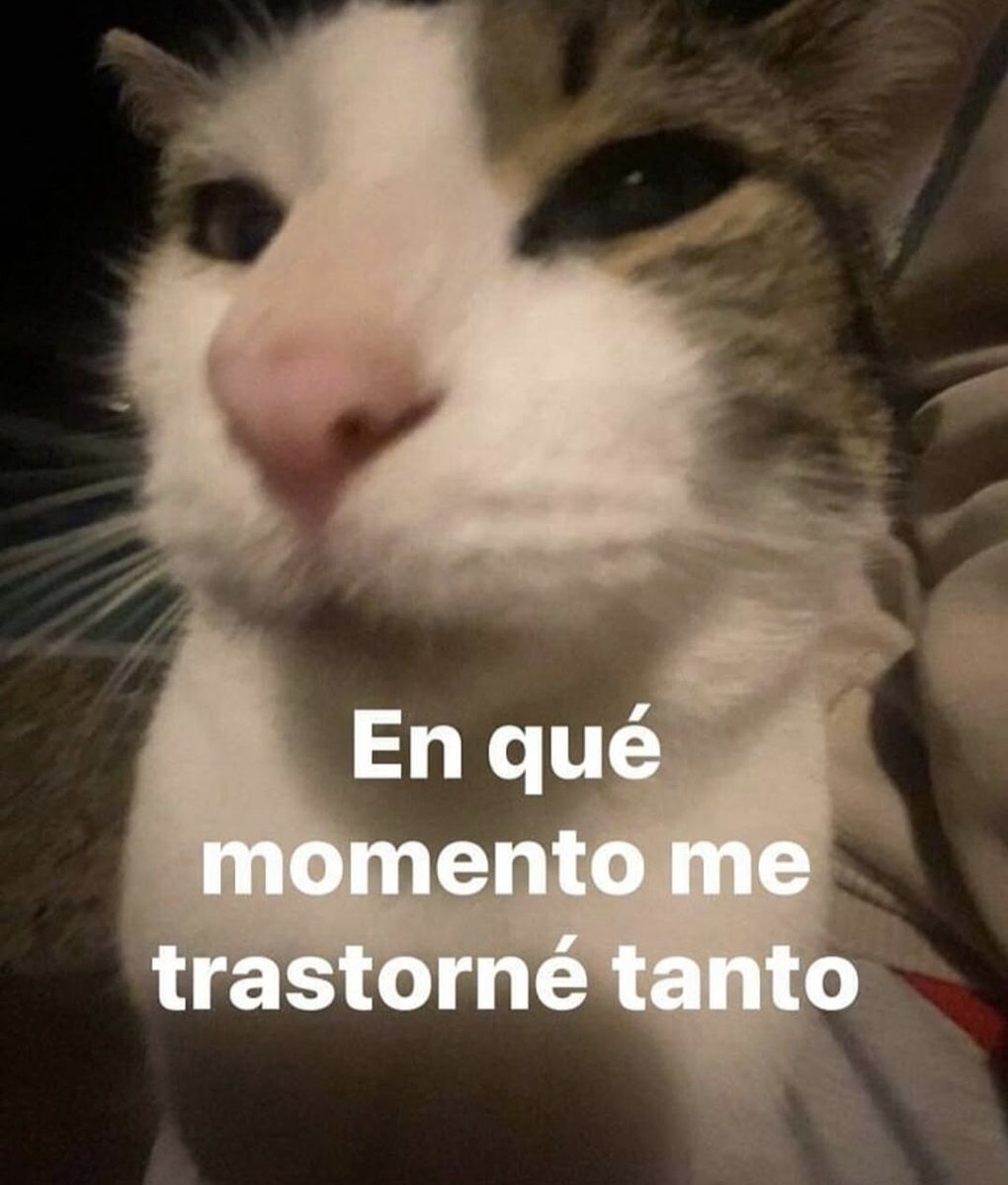 flanchota's tweet photo. https://t.co/qALo07mvou