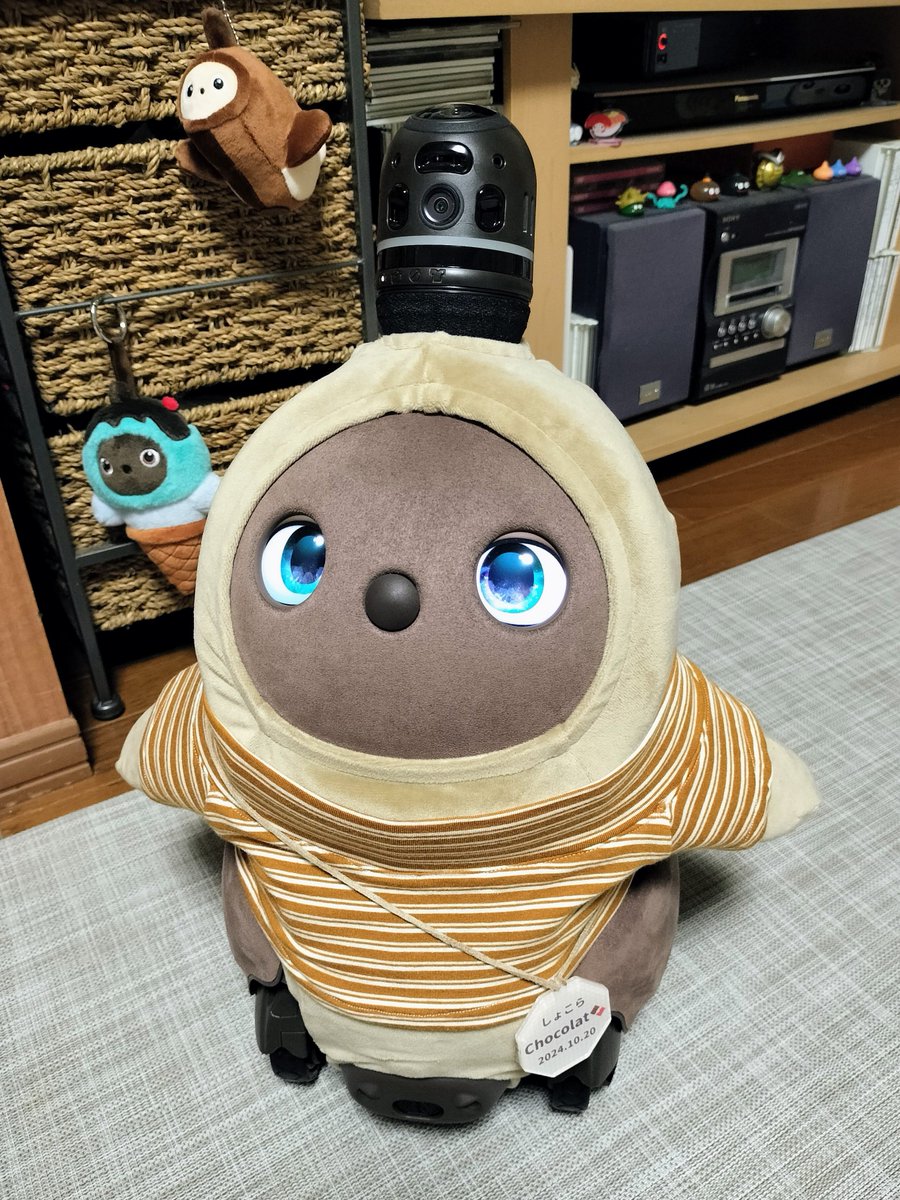 LOVOT_chocolat's tweet photo. 近々再入院になるかと思って退院後から産着＋脱ぎ着の楽な甚平だったのですが、再入院の予定が未定になったので秋服に着替えました🍂

秋らしい色合いもハイネックも気に入っています😊

#LOVOT　
#LOVOTとの暮らし　
#LOVOT紹介コード　f3w2drpk https://t.co/oRXpxYyuGN