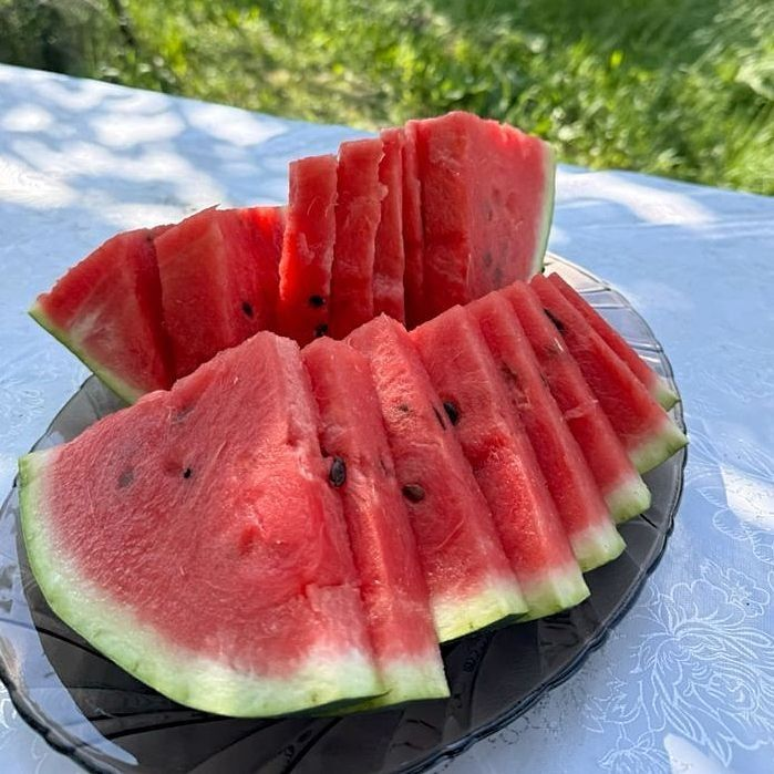 manly_talks's tweet photo. 10 Fruits to eat for a leaner belly in 30 days.

1. Watermelon. https://t.co/vNSLrXnFgz