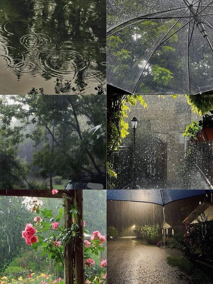 spooky_nature's tweet photo. i love rain 🌧️ https://t.co/z1BBl8IK12