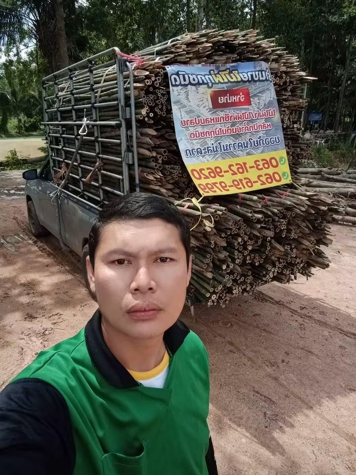 RnphuSng's tweet photo. 🙏ส่งงานวันอาทิตย์ ที่ 13/9/2569 (173มัด)🙏
🌳ขายตลอดทั้งปีครับ🌳สนใจไม้ไผ่ลำไม้ไผ่ผ่าซีกแหลมปลาย🌳ไม้หลักปักค้ำยันต้นไม้ทุกชนิด🌳
☎️สนใจติดต่อสอบถาม
Tel / line : 0959788029 / 0631629620 / 0626199799 บ๋อม นครนายก
🙏🙏🙏ขอบคุณลูกค้าที่อุดหนุนครับ🙏🙏🙏 https://t.co/Yvb5IAlgF9