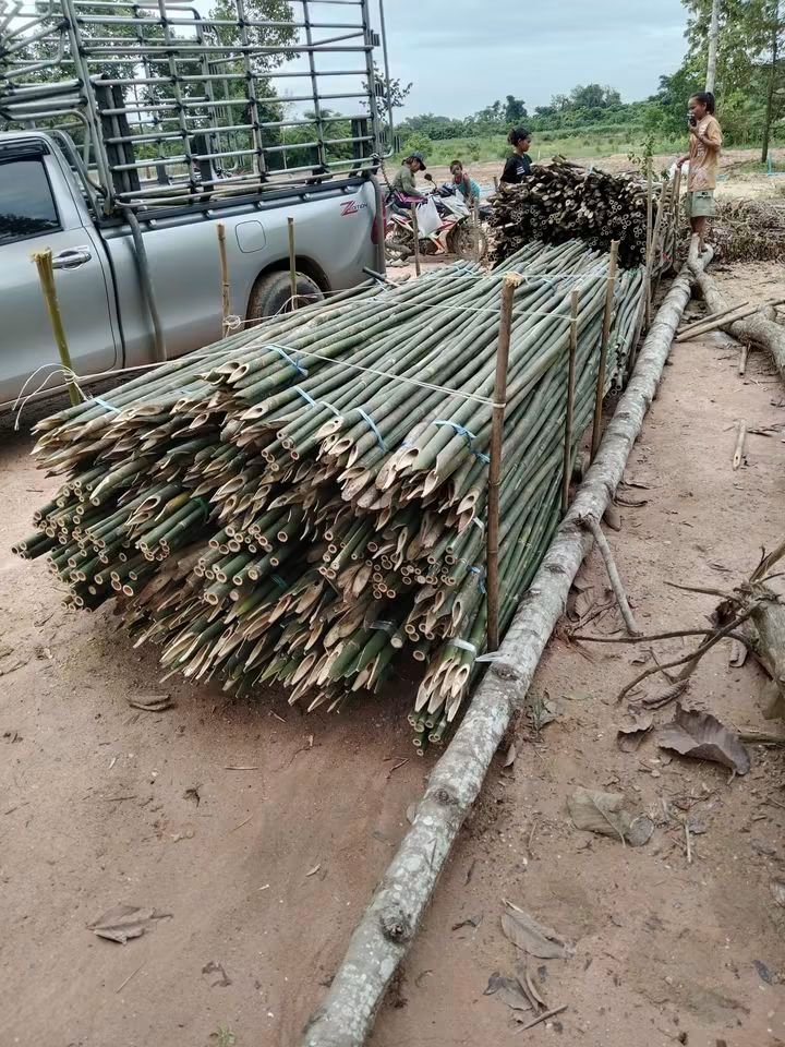 RnphuSng's tweet photo. 🙏ส่งงานวันอาทิตย์ ที่ 13/9/2569 (173มัด)🙏
🌳ขายตลอดทั้งปีครับ🌳สนใจไม้ไผ่ลำไม้ไผ่ผ่าซีกแหลมปลาย🌳ไม้หลักปักค้ำยันต้นไม้ทุกชนิด🌳
☎️สนใจติดต่อสอบถาม
Tel / line : 0959788029 / 0631629620 / 0626199799 บ๋อม นครนายก
🙏🙏🙏ขอบคุณลูกค้าที่อุดหนุนครับ🙏🙏🙏 https://t.co/Yvb5IAlgF9