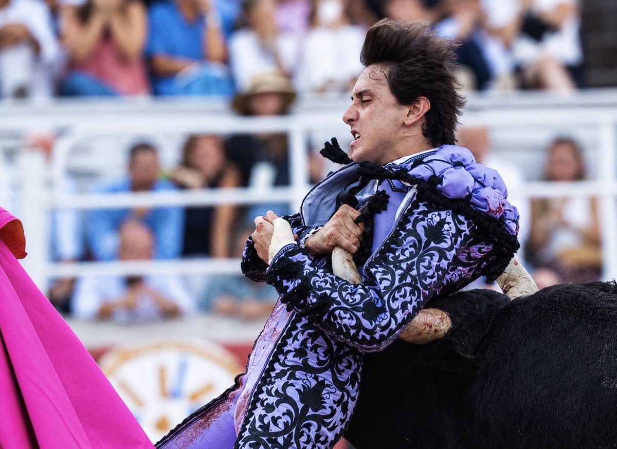 LosTorileros's tweet photo. Lo de Roca Rey en Arles fue un auténtico milagro.

Si llega a meterle el pitón le atraviesa el corazón… https://t.co/F7DyZ3m4KF