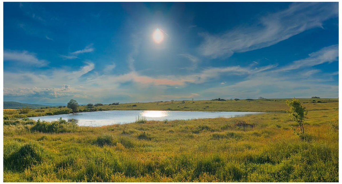 RemonaScheegvg's tweet photo. The village lake after the recent rainfall looking healthy https://t.co/wUyIsIKn08