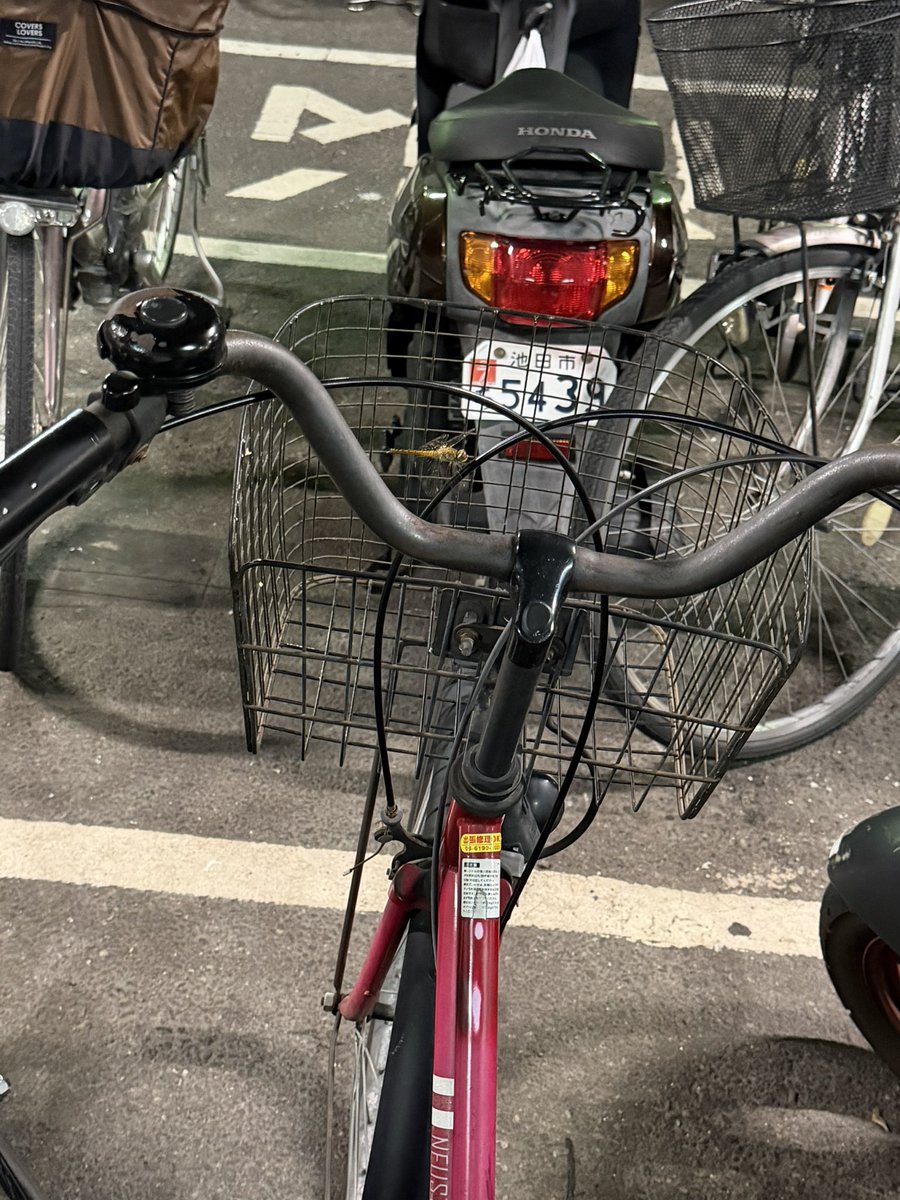 MUSASHI_abc_'s tweet photo. チャリにトンボ止まってた https://t.co/nWaKbysow6