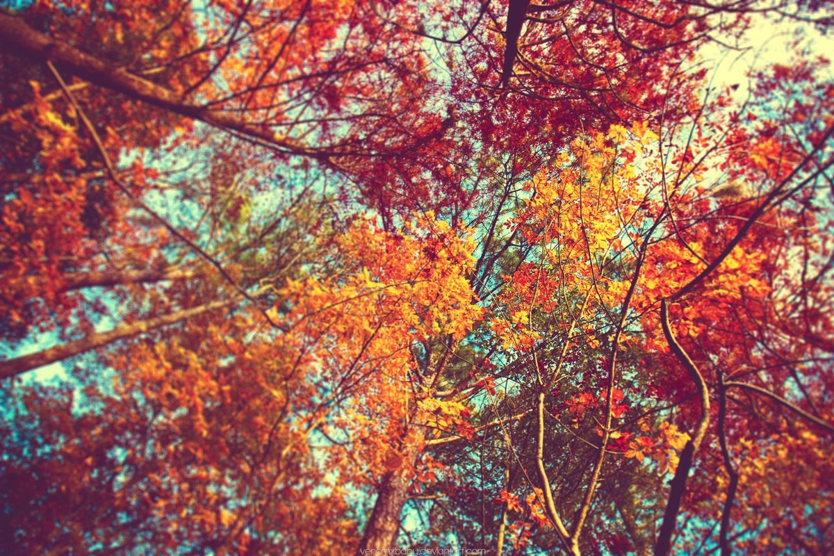 NoahTaylorfoh's tweet photo. Your future self will thank you for the choices you make today. https://t.co/yCruDlX9X4