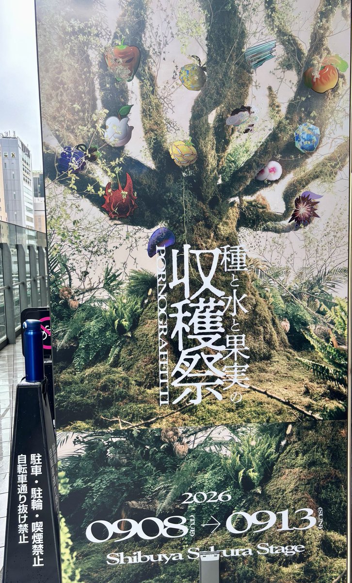imoni_satoimo's tweet photo. 金曜日に収穫祭行ってました！至る所で果実がかかっていて最高の空間すぎた……！！ https://t.co/WhTvzVGYV4