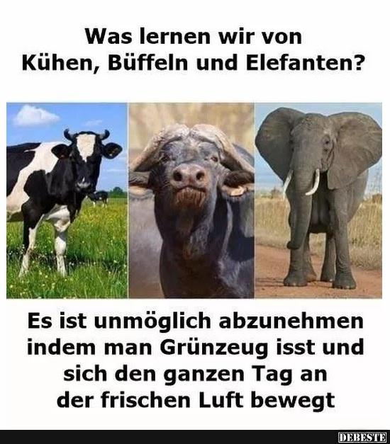 sigrid_seeger's tweet photo. Stimmt https://t.co/WD9XUrpFNC