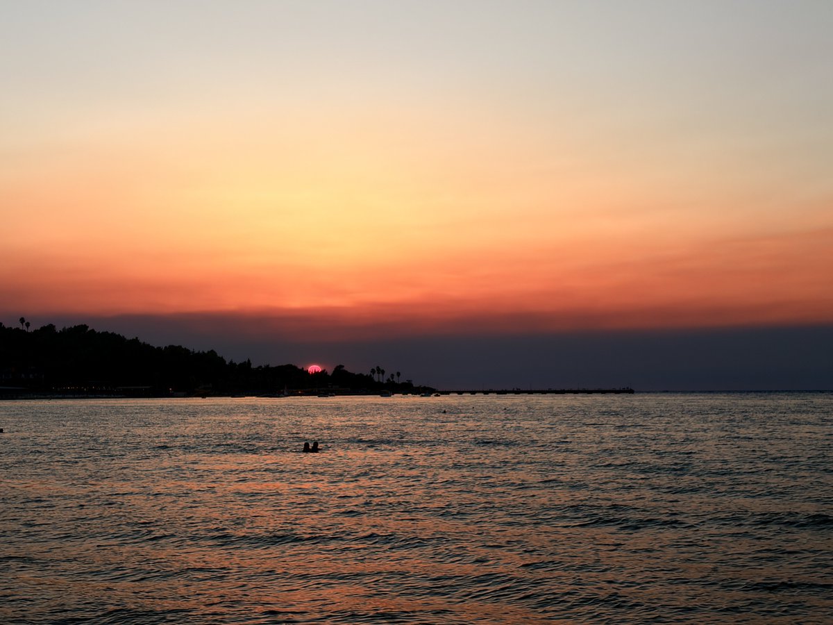 naturehealyou tweet picture