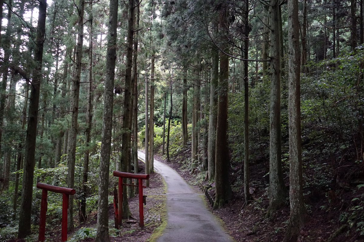 papii1010's tweet photo. 今日は雨降る中、石鎚山の山中を歩き回っていたのでヘトヘト(^_^;)
もう寝る！ https://t.co/3Jr3dxLRP1
