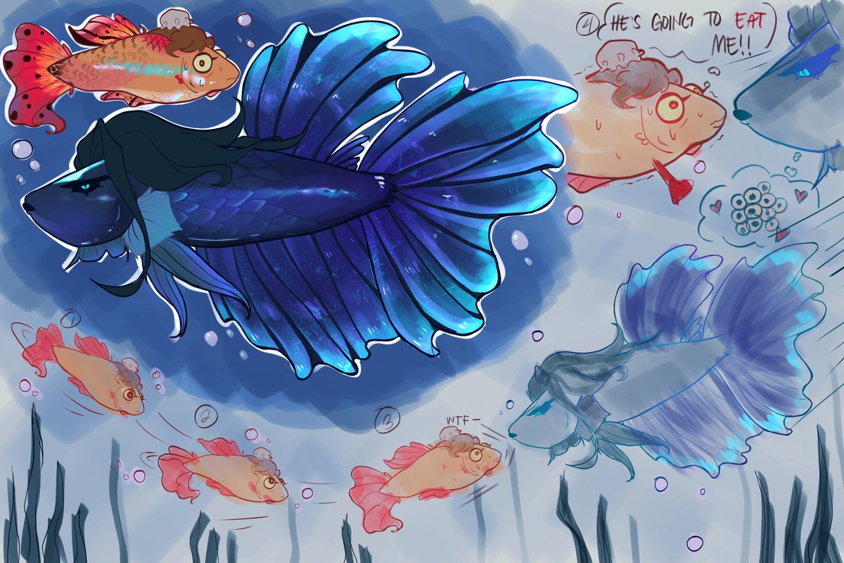 Chiperse's tweet photo. [❄️🐹][#moshang]

Guppy sqh and Black Orchid Betta mbj

Gotta make more about them....

[Btw idk how to draw fish]

#mobeijun #shangqinghua #svsss https://t.co/9Jtg6yq9la