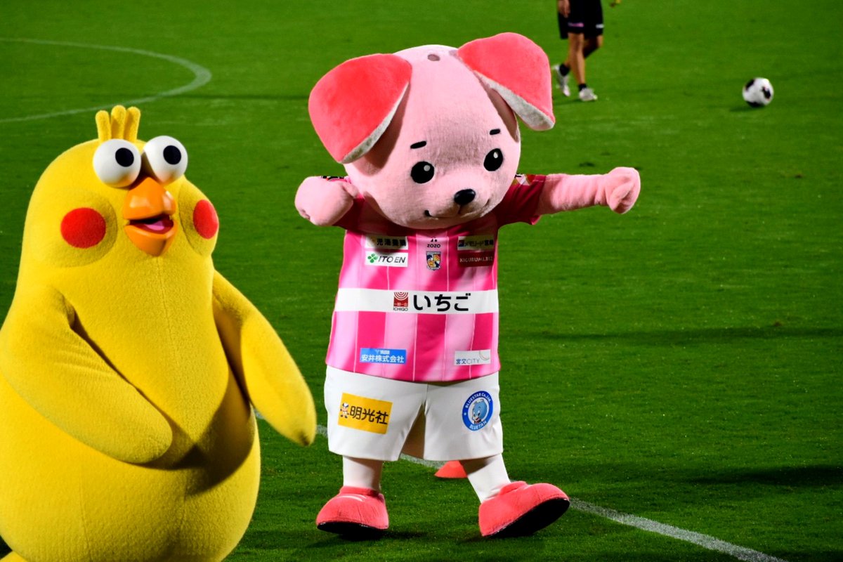 ILSOCCER_A's tweet photo. J2の宮崎vs藤枝を観戦。テゲバジャーロ宮崎は昇格後第6節で3-2と初勝利。3-0から徐々に追いつかれて危なかったけど勝ち切りに成功。カテゴリーは違うけど、昇格後第6節で初勝利という境遇や、マスコットが犬で勝手に千葉と仲間意識が芽生えました。千葉は今節勝ちきれなかったけど😢

#ジェフ千葉 https://t.co/0g24QOez08
