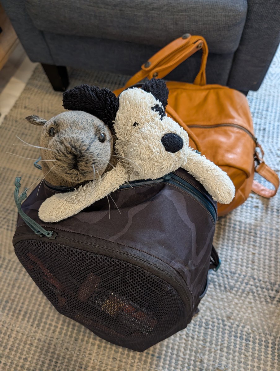 mikeomike's tweet photo. Ahoy mates @Qantas: Earlier this year, my son's beloved faithful companion (the imaginatively named "Dog") was left behind on a flight from Brisbane to Sydney. Tried lost property without luck... Can you help? Is Dog out there somewhere, flying the friendly skies? #BringDogHome https://t.co/IhVK0PVvdd