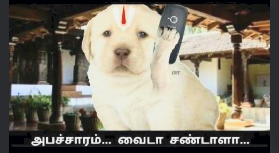 kannan3042's tweet photo. @chiyaan_Vikram6 Ipdi sollitu cut pannunga thala🚶🚶 https://t.co/Sb2auTBYTA
