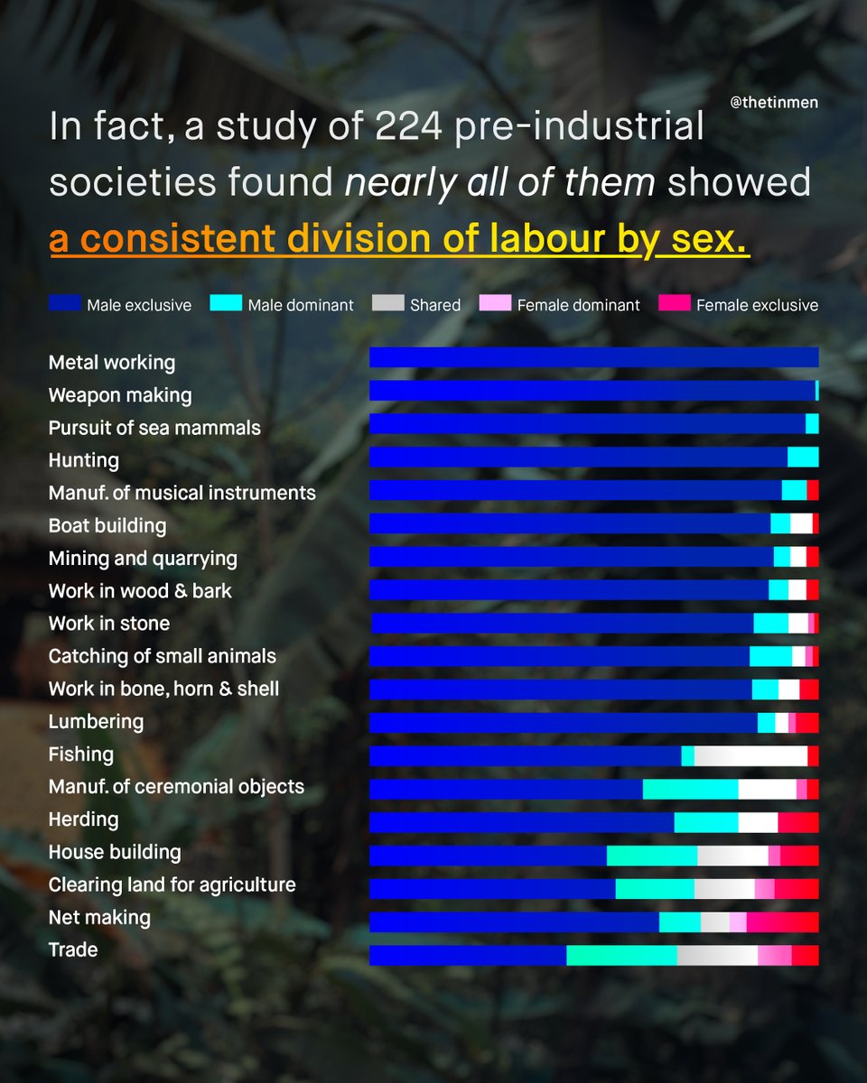 TheTinMenBlog's tweet photo. A global study of 224 pre-industrial societies found nearly all of them had the same sex-based division of labour.

So either
a) men and women have different interests/skills,

or b) 'the patriarchy' is oppressing all these disparate, disconnected societies in the exact same way. https://t.co/O93pVli2Mz