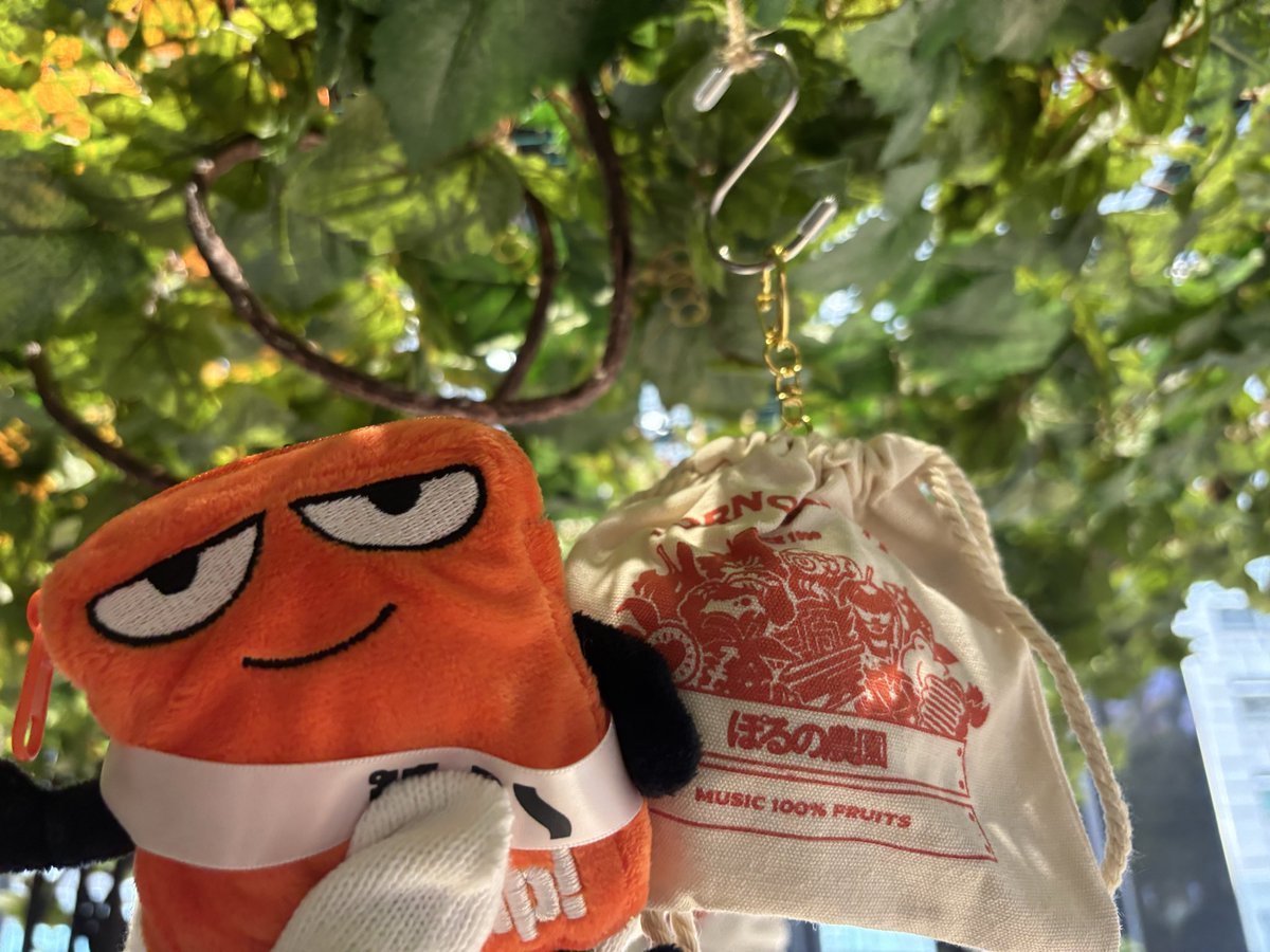 imoni_satoimo's tweet photo. 水エリアで大画面大音量でTHE REVO 聴いてべしょべしょに泣いてからポルノ農園行って、なんかめちゃくちゃ惹かれた袋があったので写真撮って収穫して、中身開けたらこれだったので本当に運命感じました。THE REVO 大好きです。 https://t.co/D5nHQb9Hul