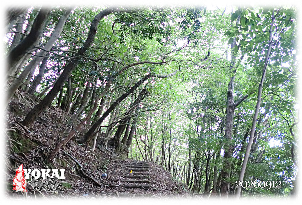 MT_Fans_Genmaou's tweet photo. “山歩き”再開します。
“リハビリ” 再会します。

I am resuming “mountain walking.”
I am resuming my “rehabilitation.”

https://t.co/nhLXrFRQaY https://t.co/WO8PH5CmFh