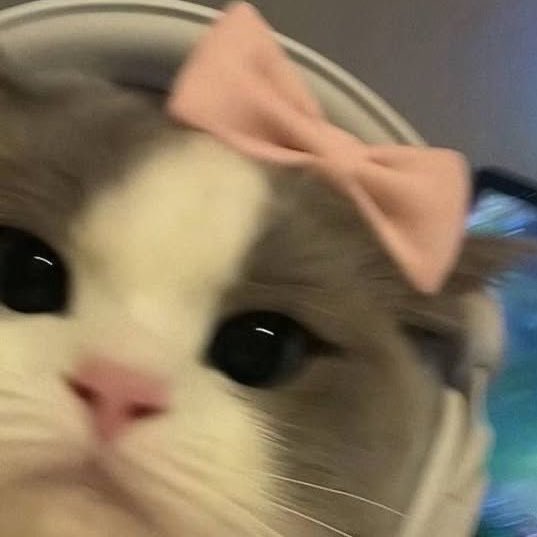 haieunseok's tweet photo. https://t.co/XIK6pXCZ63