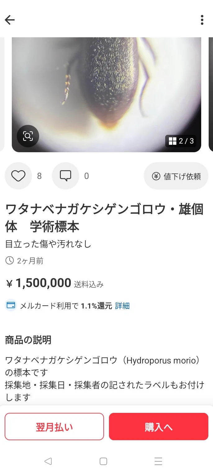 湿地虫毒 on X: 