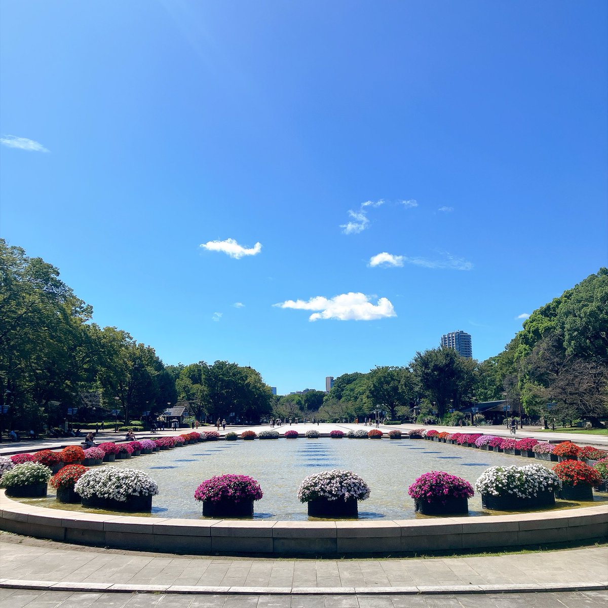 corocoroccrr's tweet photo. 月曜日の上野公園が好き https://t.co/CpzjE8ovhF