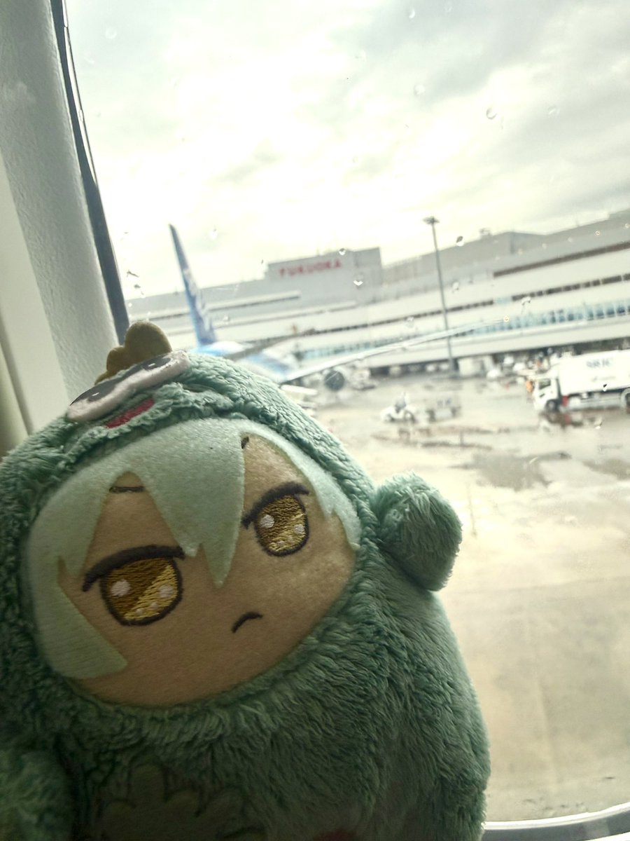 ToTo_HaMabe's tweet photo. Thank you Fukuoka! https://t.co/kP1rOGGsOo