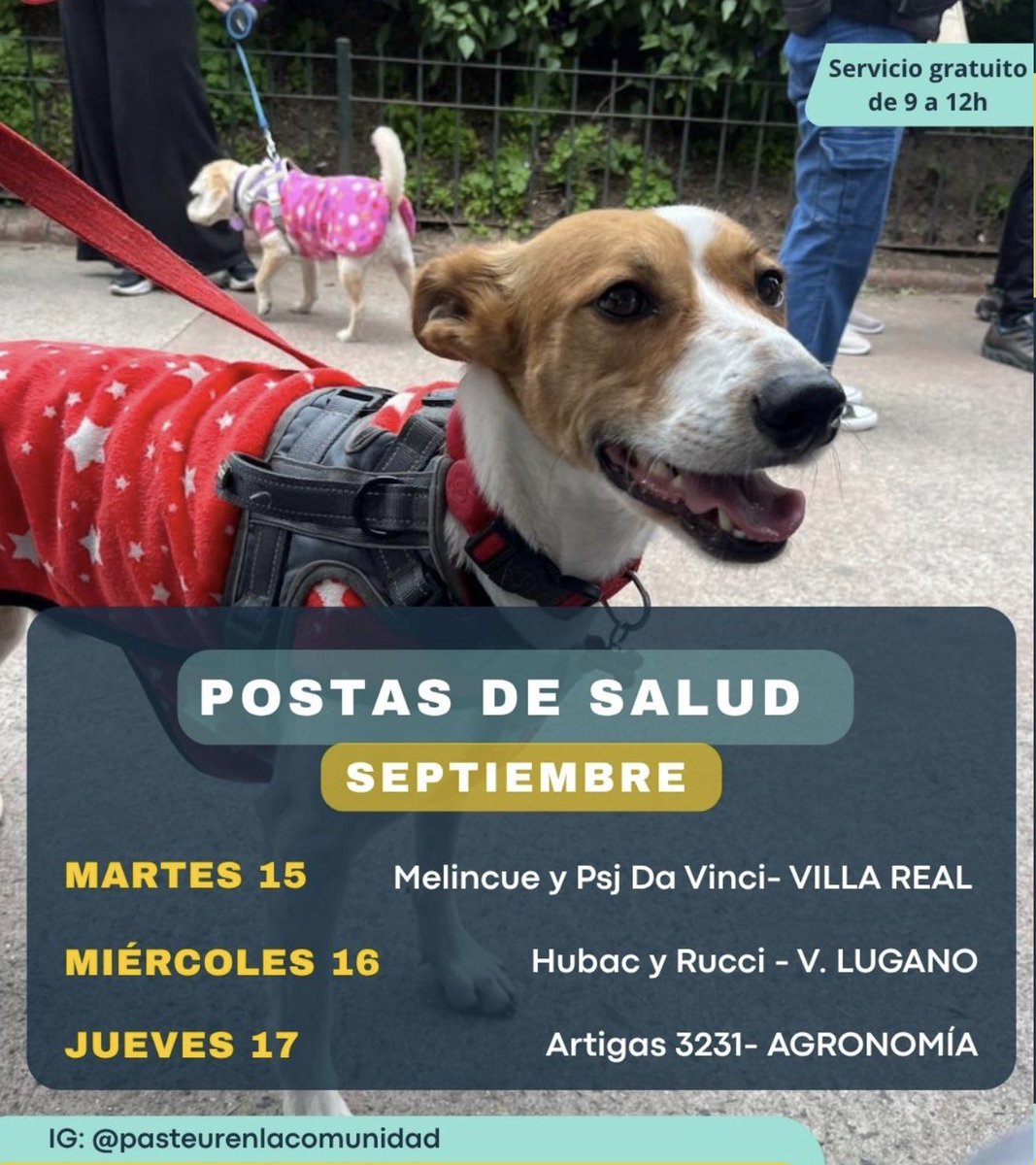 ahorraconana's tweet photo. Servicios veterinarios gratuitos esta semana! En CABA‼️🐶🐕 https://t.co/j0cXpZJeUJ