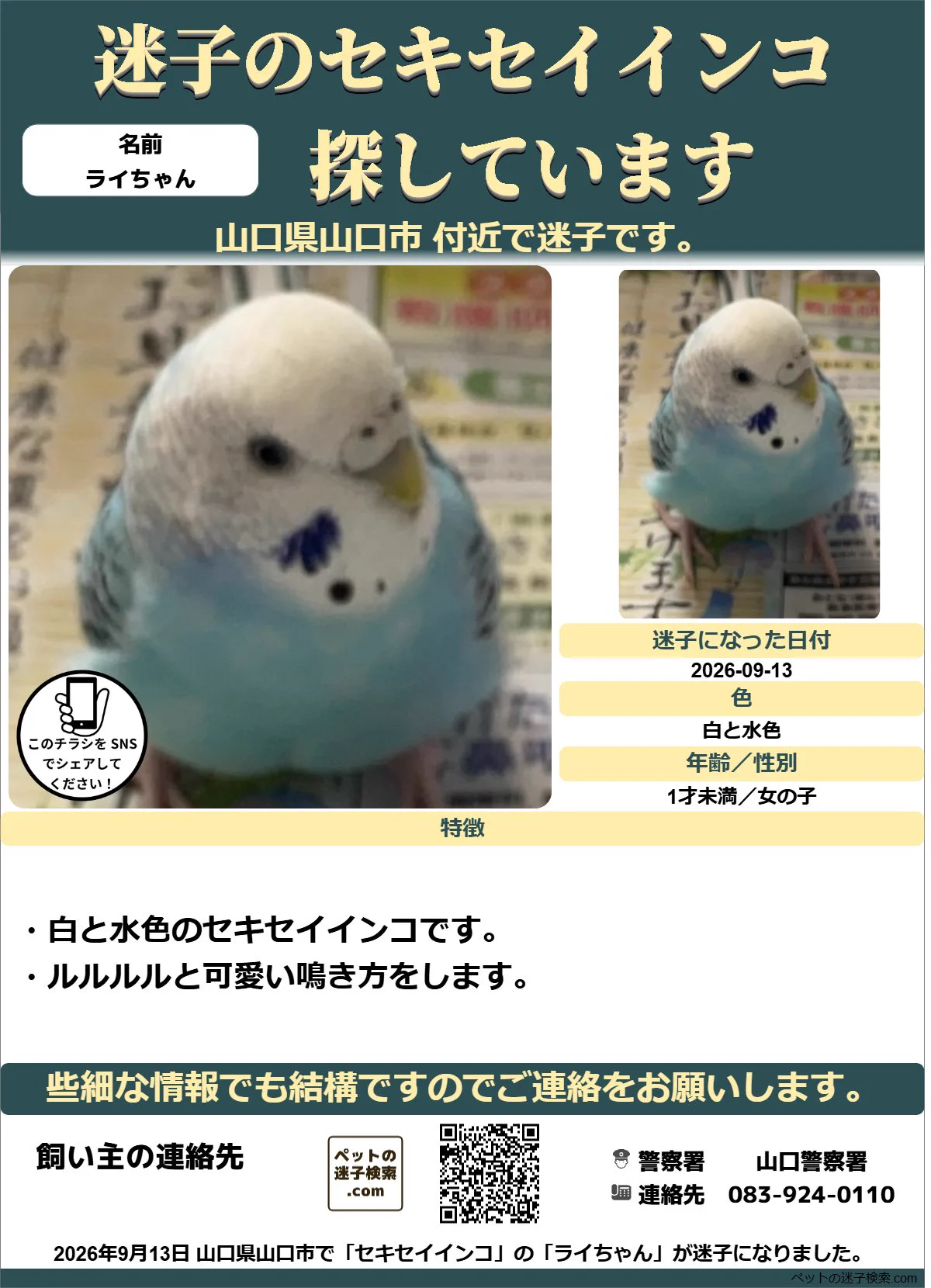本家】ペットの迷子検索.com on X: 