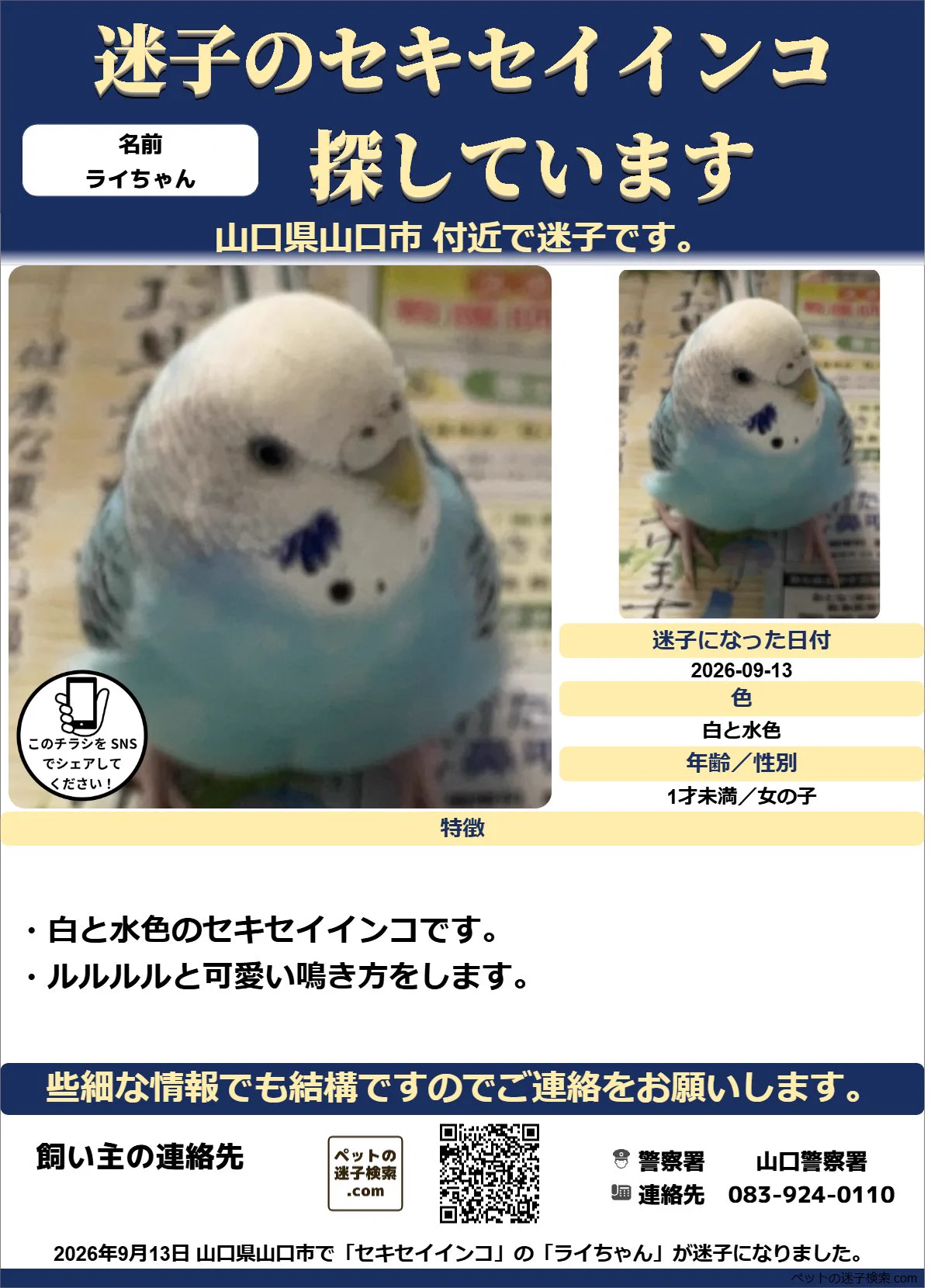 インコ様ご確認用ページ！ 本家】ペットの迷子検索.com on X: 