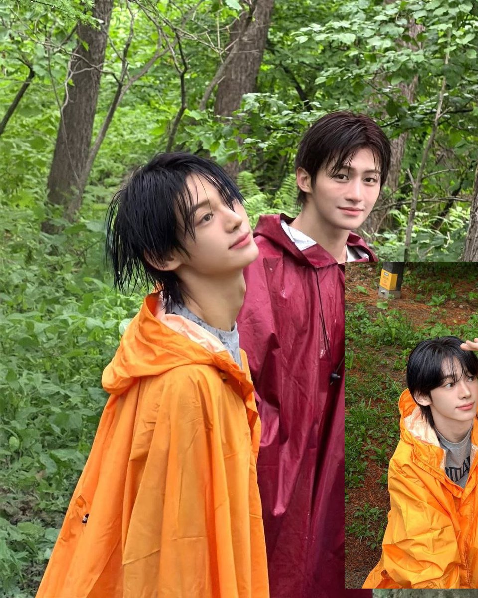 hawnzin's tweet photo. trekking through lush forest rain in bright raincoats. https://t.co/35qp0VebzD