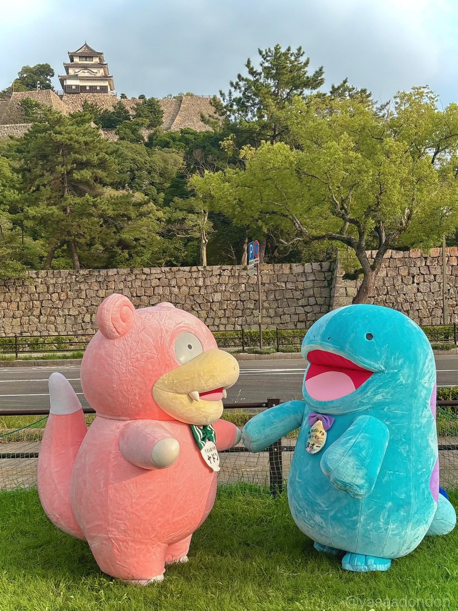 yaaaadondon's tweet photo. 【ヤドンパラダイス in 香川 コラボイベント】

ヤドン知事とヌオーちゃん可愛かったやぁん♪
四国の最強に可愛いコンビ🎀💧
ズッ友やぁん🤝🏻✨️

また高知にも遊びに行くやぁーん♪

＊2026.9.12～9.13＊ https://t.co/5wevyfIXWK