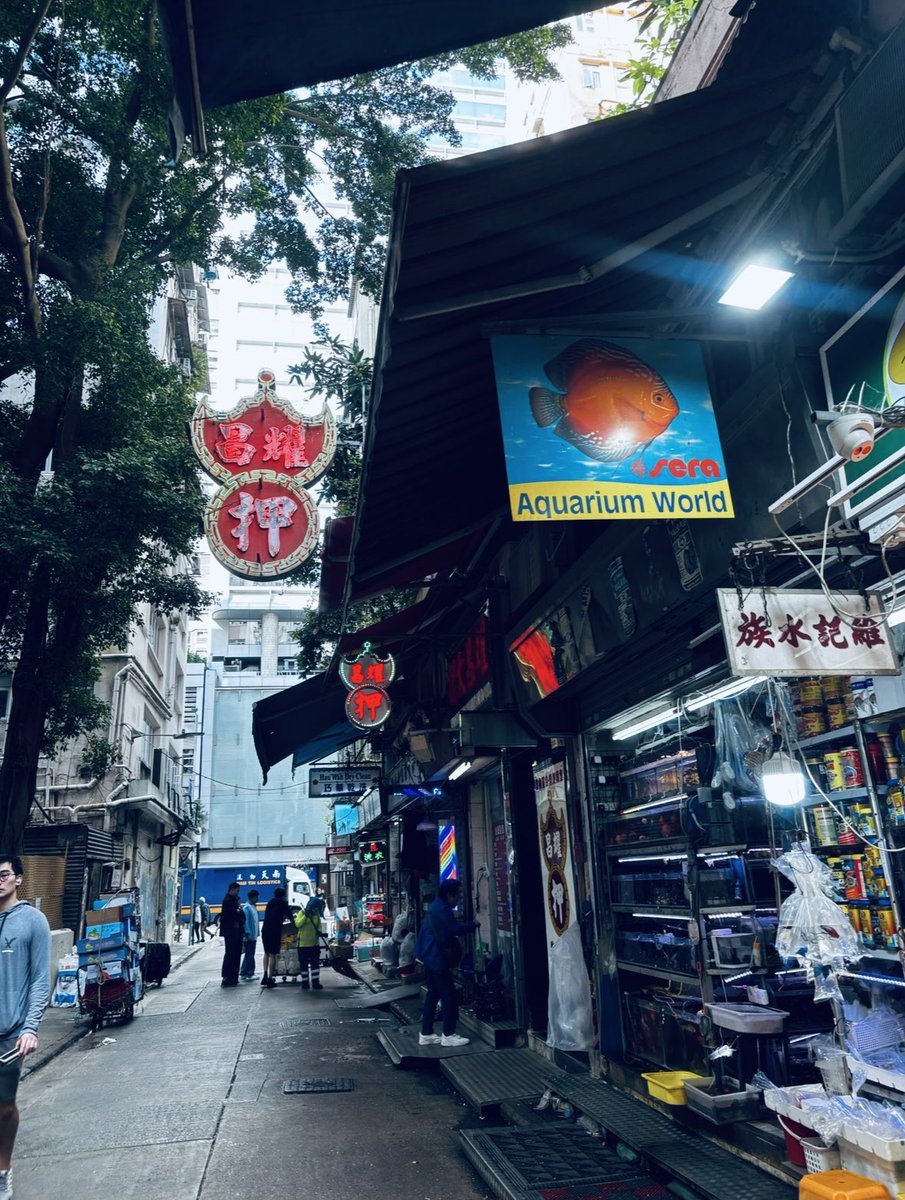 sinsin_410's tweet photo. #香港に行ったことのない人に香港の空気を伝えよう

二枚目は重慶大厦から見える景色。やっぱり夜がいいですね！ https://t.co/CDuyQgJbEG