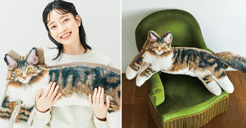 FELISSIMO_SANTA's tweet photo. 世界最大級の猫の抱き枕クッション

「憧れのメインクーンと暮らしたい」という願いを叶えるため、猫部員が作ったのが1メートルの猫抱き枕。インテリアにも、思いっきり愛でるのにも最高のもふもふボディーです。
▼くわしくは