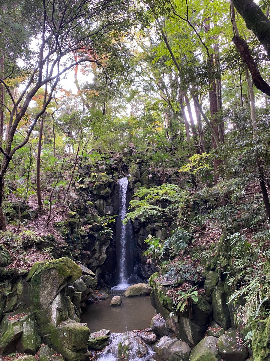 NCNP_Child_Psy's tweet photo. 【「わかってほしい」が、すれ違うとき】

子どもに何度説明しても、なかなか伝わらない。

「どうしてわかってくれないんだろう」

そう思って、もう一度説明する。

それでも伝わらないと、さらに一生懸命に伝えようとする。

子どもも苦しくなり、親も疲れてしまう。

そんなふうに、「わかってほしい」という思いから始まったやりとりが、いつの間にか親子双方を苦しくしてしまうことがあります。

でも、親御さんが「わかってほしい」と願うことには、理由があります。

この先、本人が困らないでほしい。

人との関係で傷ついてほしくない。

社会の中でうまくやっていってほしい。

それだけ、その子のことが大切なのだと思います。

だからこそ、懸命に伝えようとする。

けれど、「わかってほしい」という思いが強くなるほど、

伝わらないことが苦しくなり、親子のやりとりがぶつかってしまうこともあります。

その背景はさまざまです。

相手の意図や気持ちを読み取ることが難しい。

言葉だけでは理解しにくい。

不安や緊張が強くて、言葉が入ってこない。

気持ちが大きく揺れている。

疲れていて、受け止める余裕がない。

発達の特性やこころの状態、そのとき置かれている状況など、

いくつもの要因が関係することがあります。

「どうしてわかってくれないんだろう」と感じたとき、

「それだけ、自分はこの子にわかってほしいと思っているんだな」

と、自分の気持ちにも少し目を向けてみる。

そして、

「いま、親子の間で何が起きているんだろう」

と、少し立ち止まってみる。

伝わらないときに、伝える努力をさらに重ねることだけが答えとは限りません。

いったんやりとりを止めてみる。

伝えることを少なくしてみる。

本人が理解しやすい形を探してみる。

落ち着いてから、もう一度考えてみる。

そして児童精神科で目を向けたいのは、子どもだけではありません。

子どものことを懸命に考え続けるなかで、ご家族自身が心身ともに疲れてしまうことがあります。

子どもを支えることと、その子を懸命に支えている人を支えること。

その両方が大切なのだと思います。

WHOでも、親・養育者への支援を通して親子関係を育み、親自身のこころの健康や、子どもの情緒・行動面を支えることの重要性が示されています。[1]

私たち児童精神診療部でも、親子の間で起きていることに目を向けながら、

ときにはそのやりとりに少し「休符」を入れられるような関わりを、

子どもとご家族と一緒に考えていきたいと思います。

【文献】

[1] World Health Organization. WHO guidelines on parenting interventions to prevent maltreatment and enhance parent–child relationships with children aged 0–17 years. Geneva: WHO; 2023.