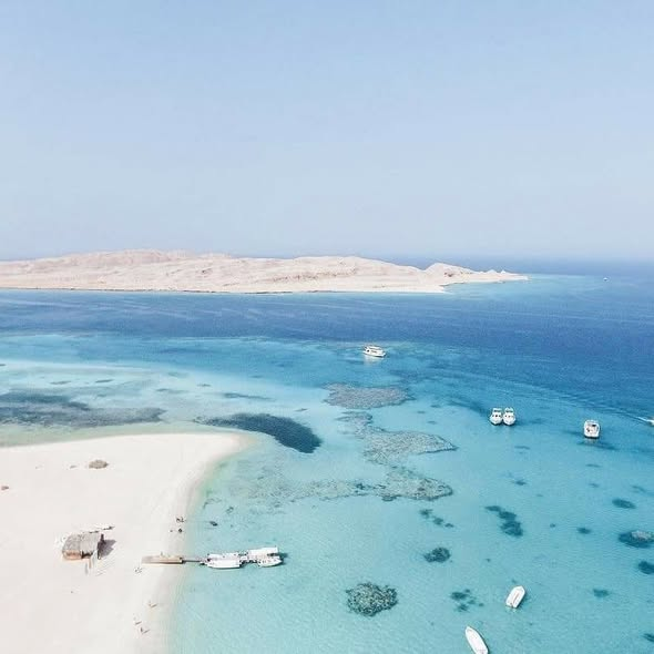 SoucivaMA's tweet photo. Mahmya island, Hurghada, Egypt https://t.co/bj2Dd6aP7Q