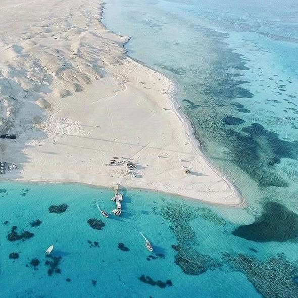 SoucivaMA's tweet photo. Mahmya island, Hurghada, Egypt https://t.co/bj2Dd6aP7Q