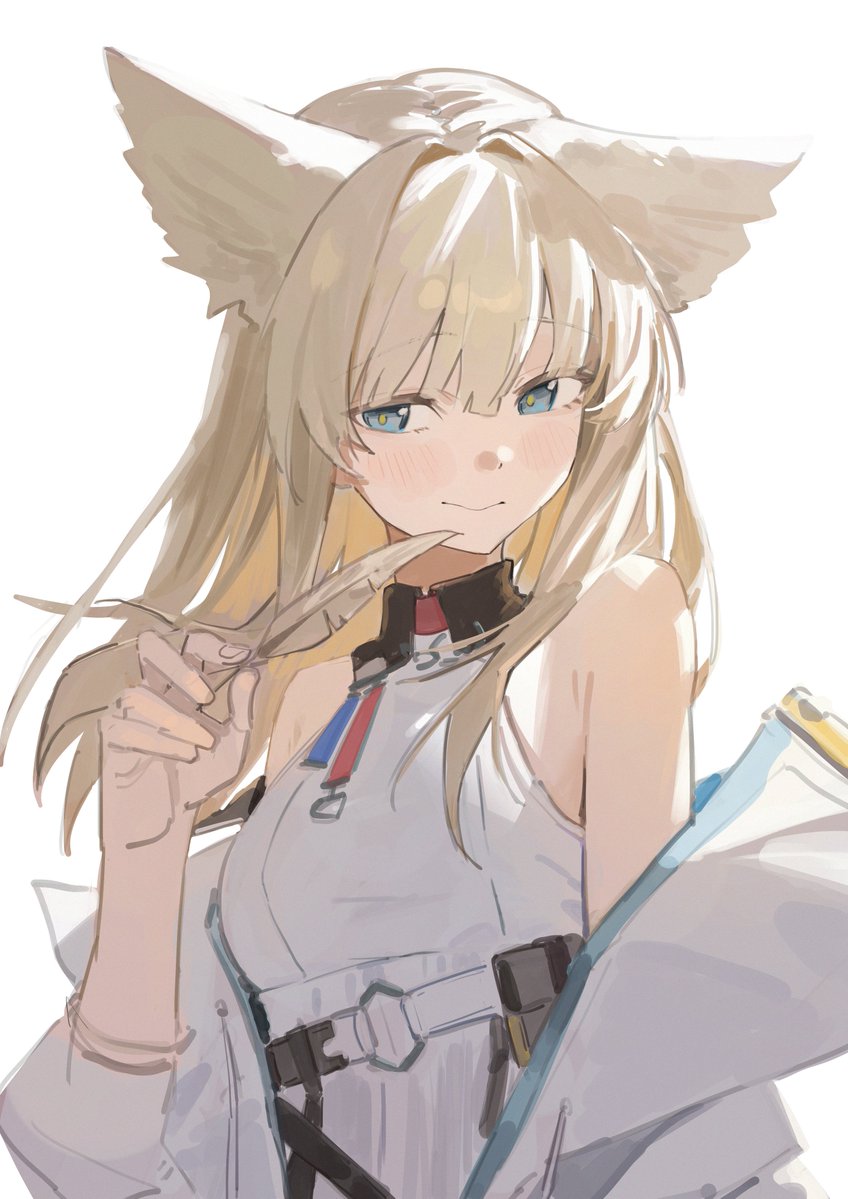 lupinu5's tweet photo. ペリかわ（再掲） https://t.co/IoTlGkHXnR