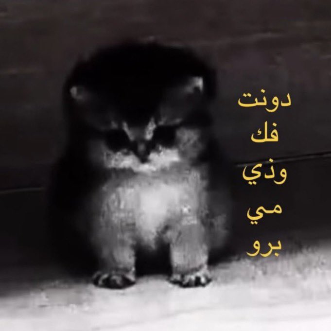 girnerol's tweet photo. خلطت فوار مسكن مع هوت شوكلت صارت زي قهوه ايرلندا بطعم وجع دورتي https://t.co/DvJu1zz8tG