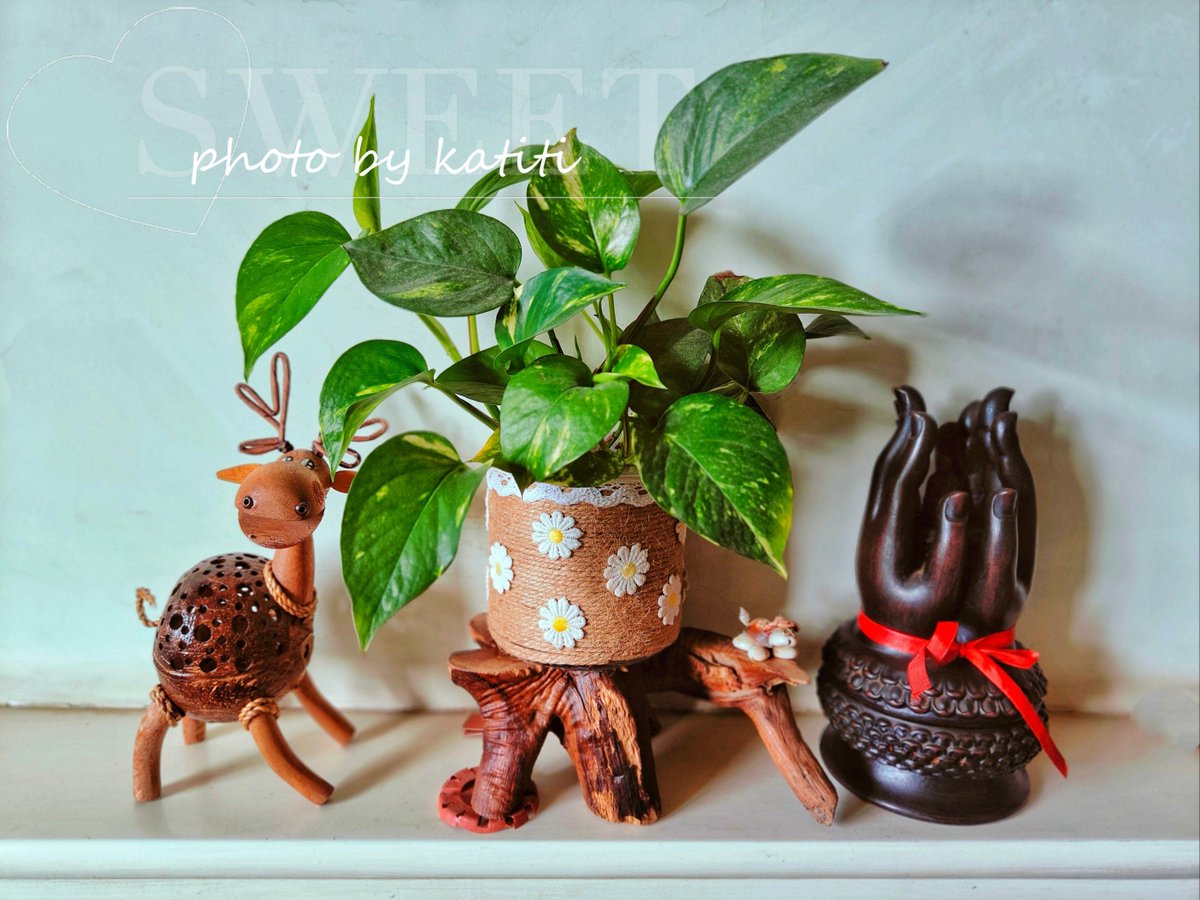 JunkoZappaf8sy's tweet photo. Got 3 old glass jars Turn ’em into cute succulent planters with just hot glue u0026 some twine—easy weekend DIY for cozy home vibes! https://t.co/7Wgr2f29gy