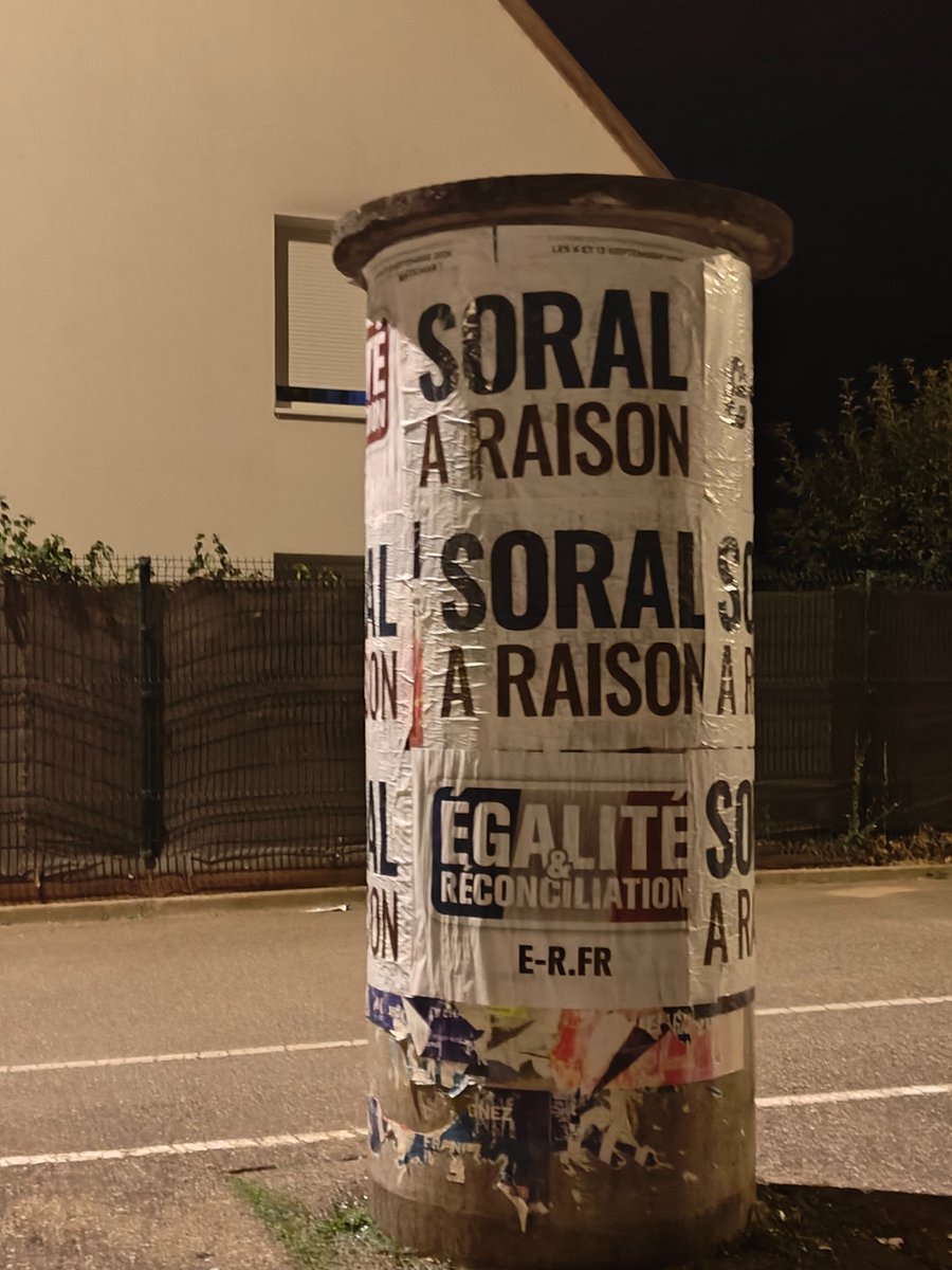 er_alsace's tweet photo. "Soral à raison ! "
Au tour des camarades colmariens de faire leurs travaux pratiques de rentrée. 
Affichage, slogans, présence : il faut savoir occuper l’espace et interpeller les regards.
Le militantisme, c’est aussi être présent, visible et actif sur le terrain.
Vivez ! 
Militez !