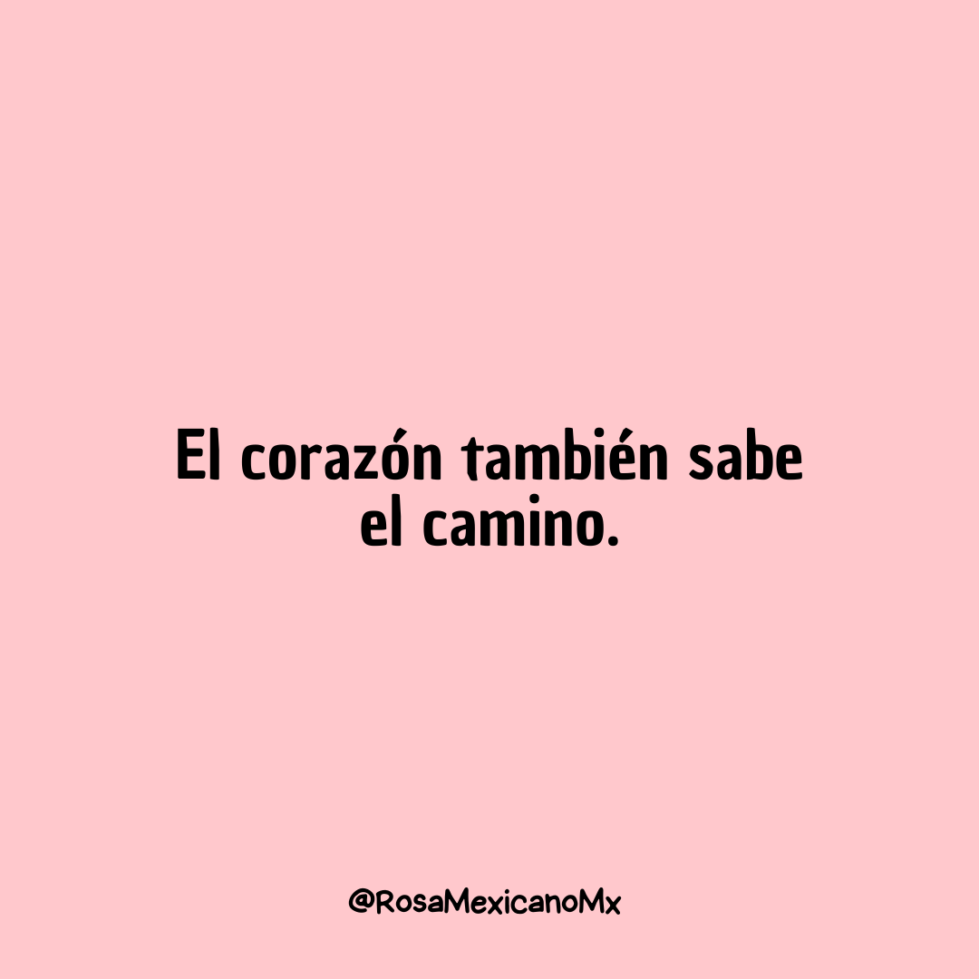Rosamex1cano's tweet photo. https://t.co/09FUgf9996