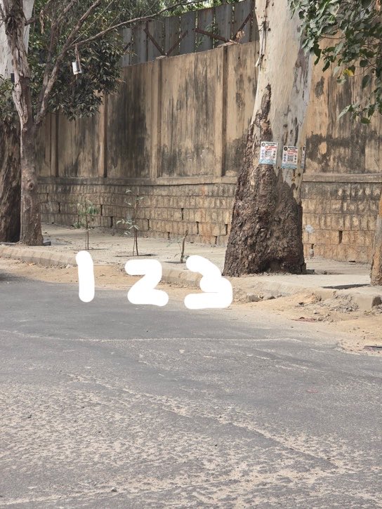 hsachin's tweet photo. 3 trees in span of 15 feet. Costing tax payers over 10k where not needed. None will survive in months time. https://t.co/IOJI7wc73k