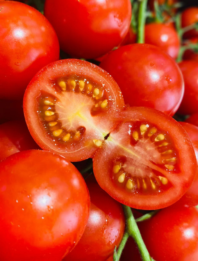 BrittniBilynu's tweet photo. Just tried the new organic cherry tomatoes from Local Farm Co! Bursting with natural sweetness, no weird aftertaste, and perfectly juicy—great for salads or snacking. 10/10 would grab these again! https://t.co/ZhvoCbG4fy