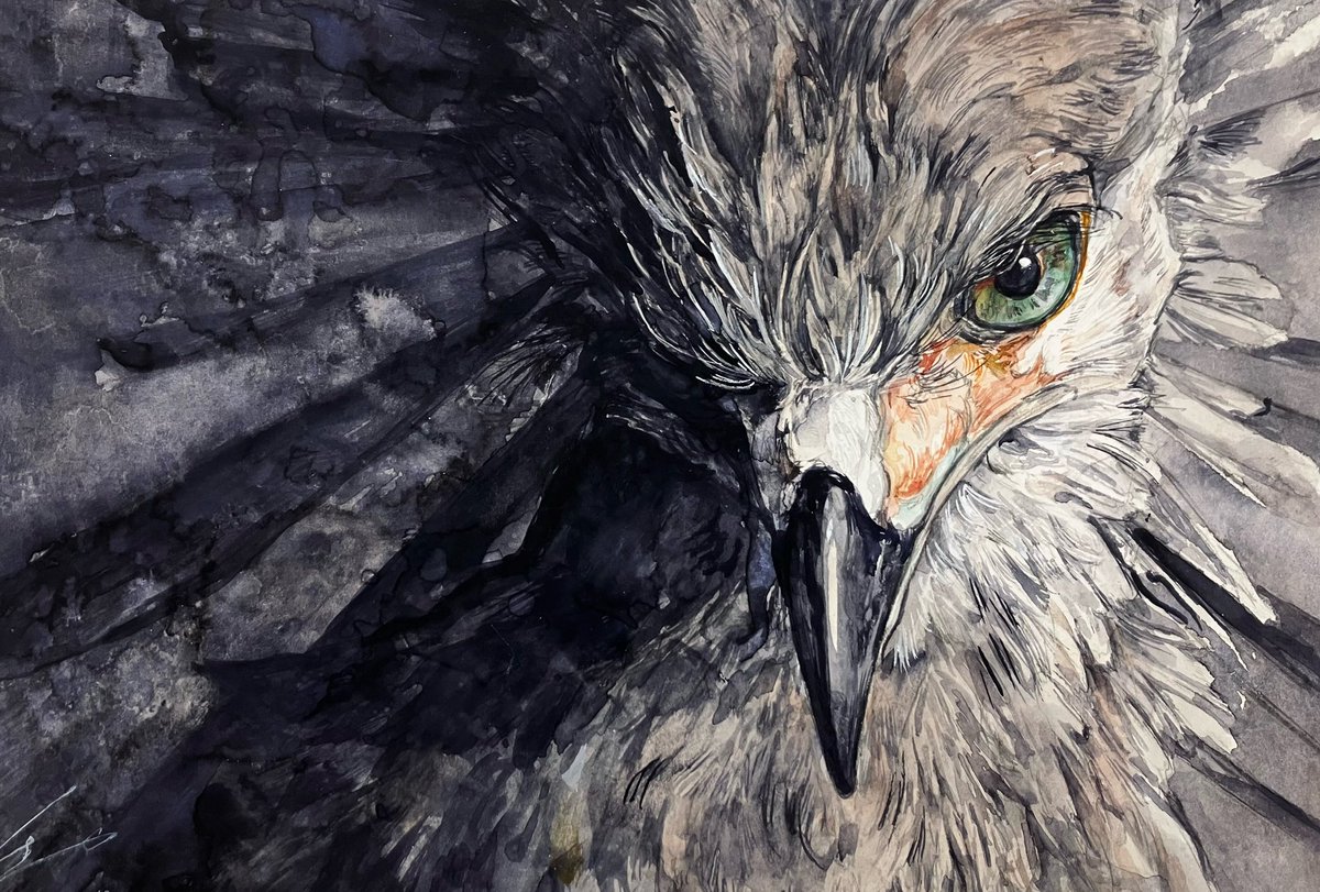 ShionTakahashiE's tweet photo. #全クリエイターに告ぐ鳥の作品を解放せよ https://t.co/i63j4OZ3p6