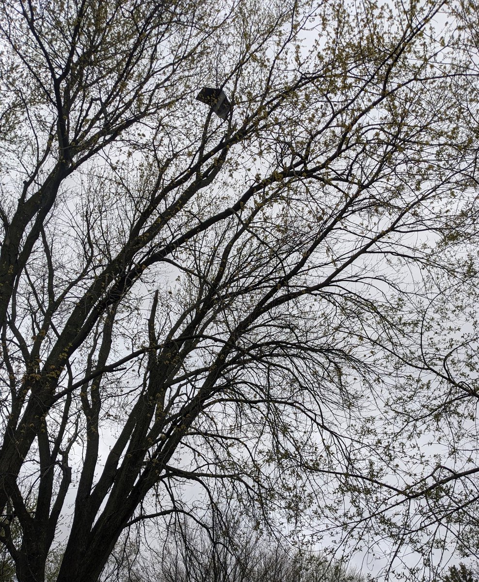 JChandlerUSC's tweet photo. @sodacitysimpson Got a project for you in Illinois if you are serious about doing a roof in all 50 states. Hit by a an EF0-1 tornado but just outside FEMA disaster zone. My parents home in their 70s. https://t.co/3sQEvb0R6h
