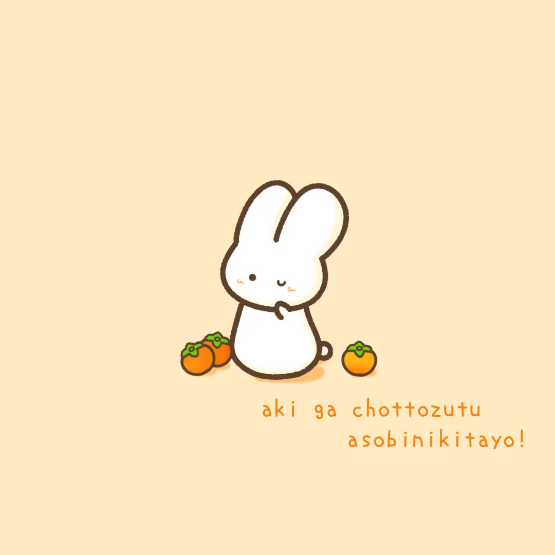 まいにちうさちゃん🐰 on X: 