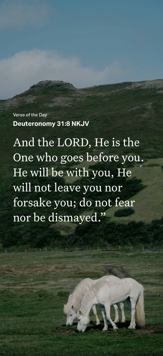 PYNance's tweet photo. Verse for the day on my Bible app. https://t.co/FEpsHRIDWH