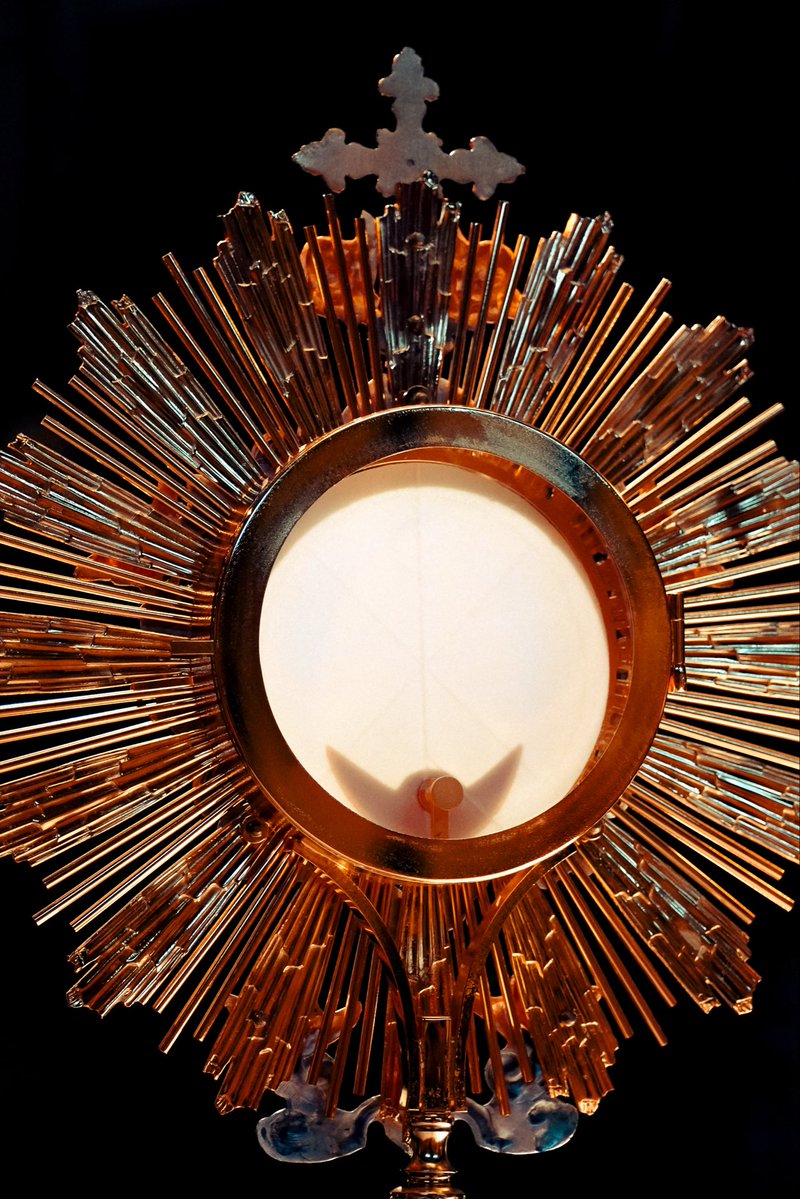 FreiGilsonCMES's tweet photo. Que alegria rezar mais um Santo Rosário com você!
Começamos mais uma semana com tudo, neste dia tão especial da Exaltação da Santa Cruz. Foi uma madrugada de muita oração e graça.

E vamos aproveitar, minha gente, porque os nossos 40 dias já estão caminhando para o fim. Vamos permanecer firmes e viver intensamente cada dia que ainda temos juntos.

Me conta aqui nos comentários: qual foi o momento que mais te marcou hoje?